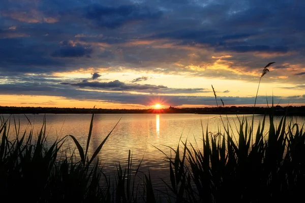 Beautiful sunset on the lake with vegetation silhouettes — Stock Photo, Image
