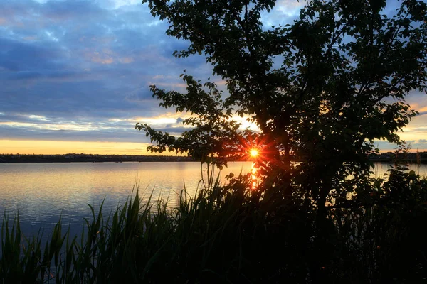 Krásný západ slunce na jezeře se siluetami vegetace — Stock fotografie