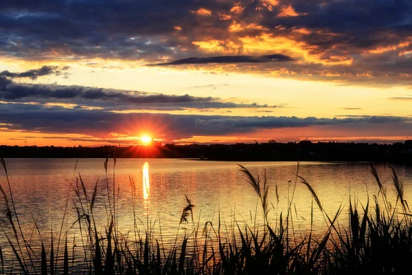 Hermosa puesta de sol en el lago con siluetas de vegetación Imágenes de stock libres de derechos