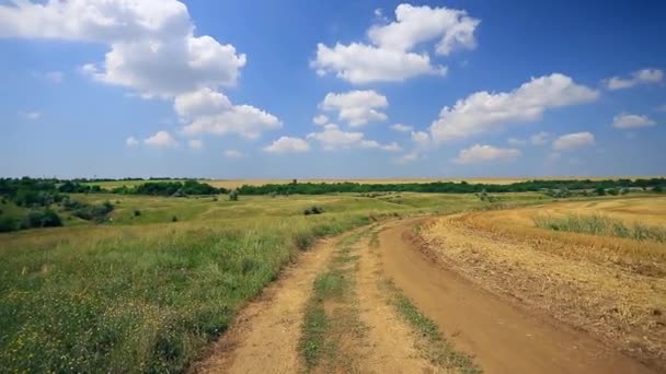 Letnia Panorama Pola Wiejskiej Drogi Tle Błękitnego Nieba — Wideo stockowe