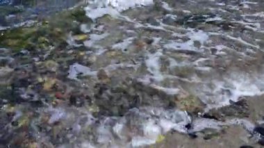Deniz kıyısı, sörf, güneşli bir günde