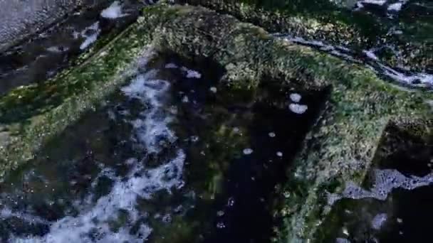 藻で生い茂った海の近くの古い荒廃した桟橋 — ストック動画