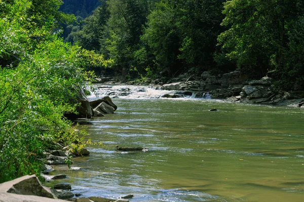 Горная река с порогами и большими камнями в солнечный день — стоковое фото