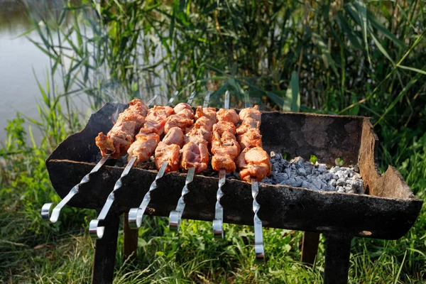 豚肉串は 川の岸に 自然の中で串揚げされています 夏の日 — ストック写真