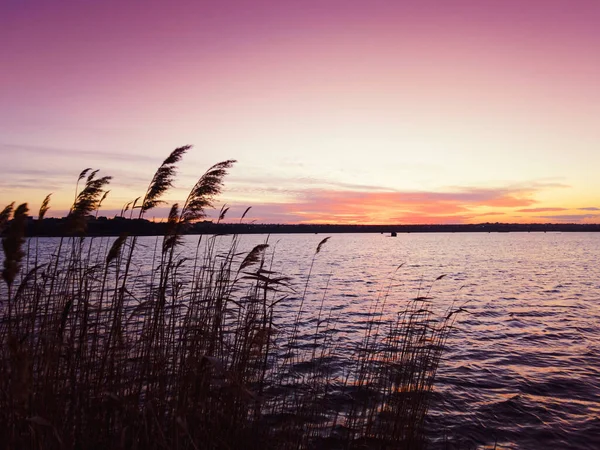 Схід Сонця Над Озером Очерет Передньому Плані Червоно Помаранчеві Хмари — стокове фото