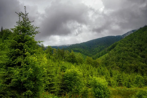 Skogsbevuxna Berg Och Stormmoln Molnigt Väder Ukraina Karpaterna — Stockfoto