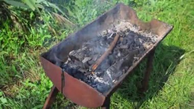 Burning wood and charcoal grilling pork and chicken wings skewers in nature. timelapse