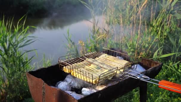 Lavash Suluguni Και Ψητές Πατάτες Μαγειρεύονται Στη Σχάρα Στη Φύση — Αρχείο Βίντεο