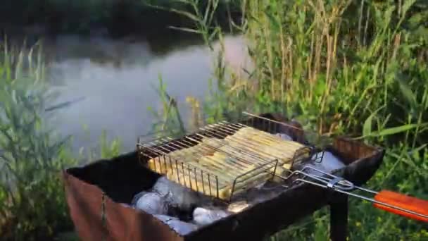 Timelapse Lavash Con Suluguni Patatas Horno Cocinan Parrilla Naturaleza — Vídeo de stock