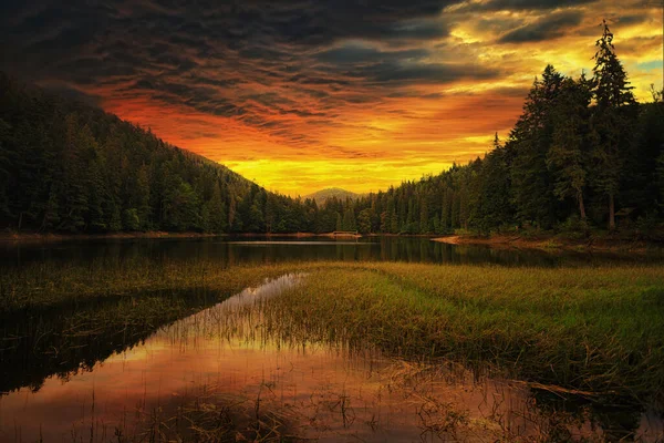 Lake Synevyr Hegyekben Naplementekor Reflexiók — Stock Fotó