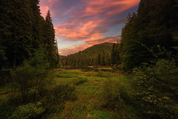 Maravilhosa Paisagem Montanhas Floresta Pôr Sol Lago — Fotografia de Stock