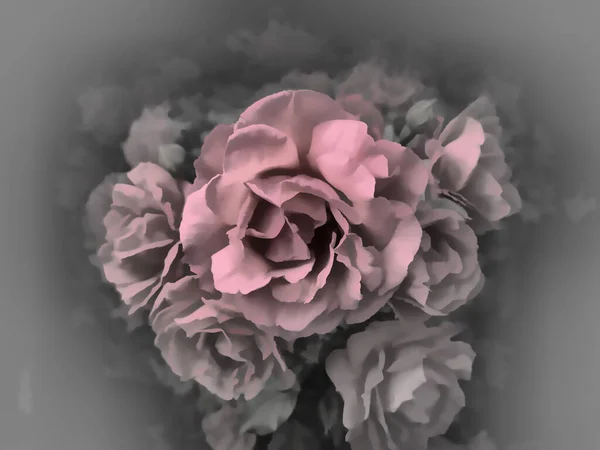 Ilustrasi Dalam Warna Pastel Bouquet Mawar Pada Latar Belakang Abu — Stok Foto