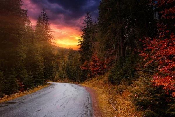 Üres Hegyekben Őszi Erdő Között Napkeltekor — Stock Fotó