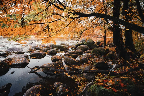River Large Stones Bank Autumn Forest — Stockfoto