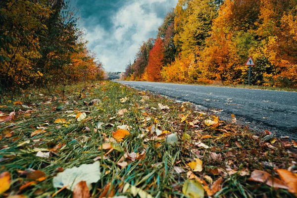 An empty autumn highway in the middle of the forest in autumn colors against a cloudy sky. Selective focus. Artistic processing