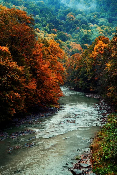 Гірська Річка Тлі Гори Між Яскравим Осіннім Лісом Художньою Обробкою — стокове фото