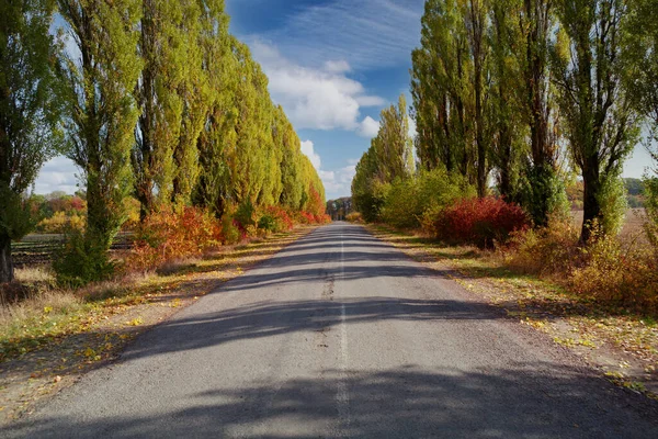 Empty Asphalt Road Bright Autumn Trees Blue Sky Clouds Artistic — Stock Photo, Image