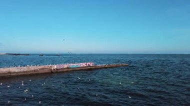 Sea coast in good weather and many seagulls. Slow motion
