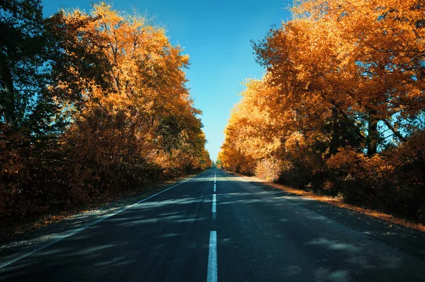 Empty Asphalt Highway Autumn Yellow Trees Blue Sky — Stock Photo, Image
