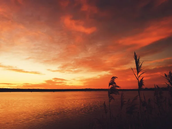 Схід Сонця Над Озером Червоно Оранжевими Хмарами Очеретом Передньому Плані — стокове фото