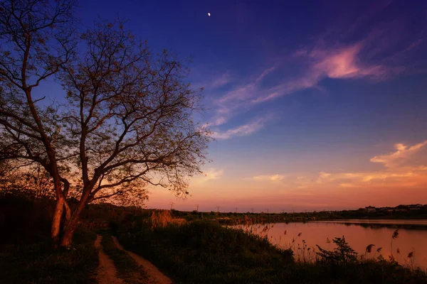 Picturesque sunset over the lake, a tree and a road along the shore