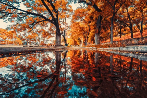 Reflection of autumn trees, sky and street in a puddle. Illustration