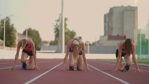 Drei Bahn- und Wassersportlerinnen starten im Stadion in Laufkissen auf einer Sprintdistanz. Leichtathletinnen laufen im Stadion — Stockvideo