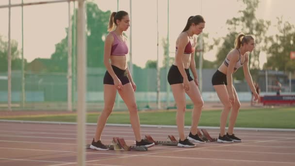 Três atletas de pista e de água do sexo feminino começam a corrida no estádio em blocos de corrida a uma distância de sprint. Mulheres rastreiam e rastreiam e arquivam corredores correndo no estádio — Vídeo de Stock