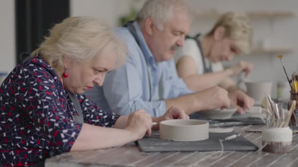 Grupa Osób Starszych Klasie Mistrzowskiej Ceramiki Razem Rzeźbić Wyciąć Rysunek — Wideo stockowe