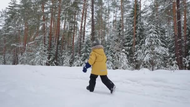 Egy 3-4 éves kisfiú fut a téli erdőben, hátulról, lassított felvételben, sárga dzsekiben. A téli szórakozás és aktív kikapcsolódás, a szabadság és a boldog gyermekkor fogalma — Stock videók