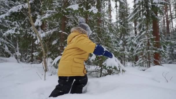 En pojke i gul jacka går genom djup snö och studerar vinterskog, vinterpromenader och genom snöskogen i slow motion. Begreppet fri miljö för barn — Stockvideo