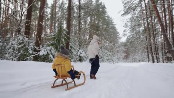 Egy fiatal anya és fia szórakozik télen az erdőben szánkózás lassított felvételen. boldog anya egy séta a fiával egy havas erdőben — Stock videók