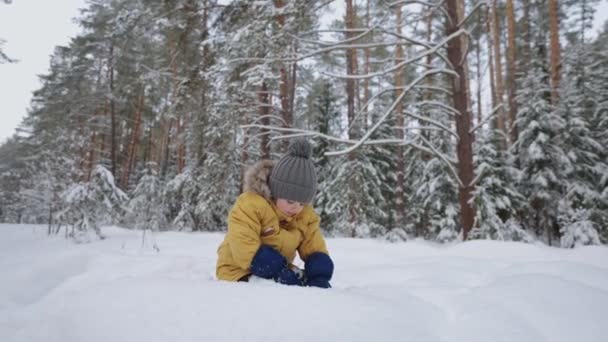 Мальчик в жёлтой куртке вынимает травинку и осматривает, изучая зимний лес, зимние прогулки и замедленную прогулку по снежному лесу. Концепция свободной среды для детей — стоковое видео