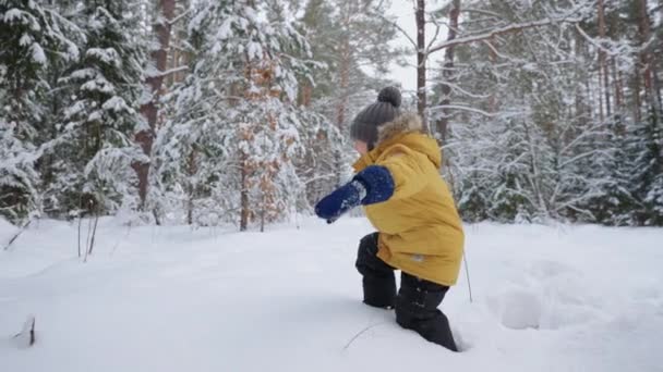 Chlapec ve žluté bundě kráčí hlubokým sněhem studuje zimní les, zimní procházky a ve zpomaleném filmu sněžným lesem. Koncept volného prostředí pro děti — Stock video