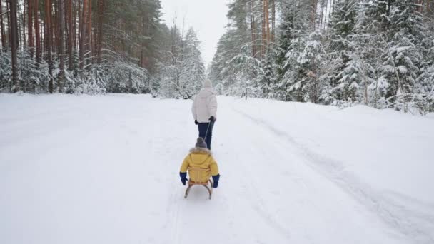 Młoda matka i syn bawią się zimą w lesie na sankach w zwolnionym tempie. szczęśliwa mama na spacer z synem w śnieżnym lesie — Wideo stockowe