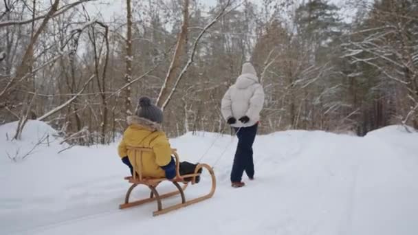 Donna sta tirando slitta di legno con bambino piccolo all'interno, passeggiando nella foresta in inverno — Video Stock