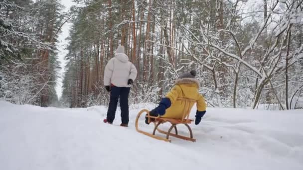 小さな子供がそりに座っています彼の母親が森の中で明確な雪の上に彼を引っ張っているとき — ストック動画