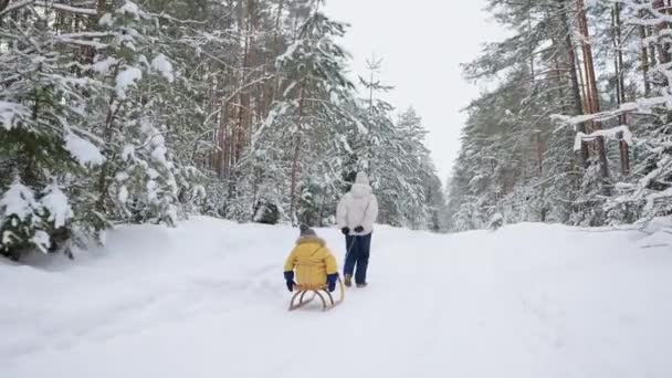 Spokojny zimowy las w Boże Narodzenie wakacje, matka i dziecko chodzą, kobieta ciągnie sanki — Wideo stockowe
