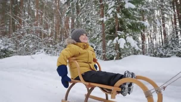 Милый малыш катается на санях в зимнем лесу, весело и весело во время семейной прогулки на природе — стоковое видео