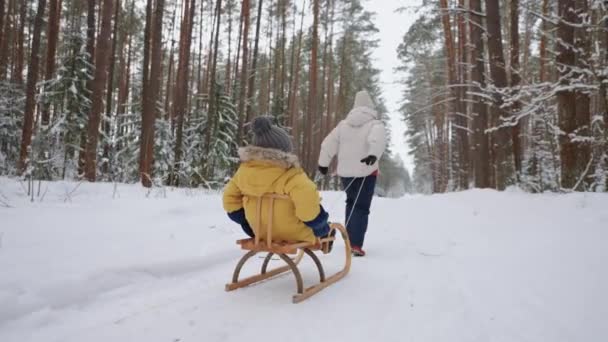 Donna sta correndo nella foresta invernale e tirando slitta con il suo piccolo figlio, felice fine settimana in famiglia — Video Stock