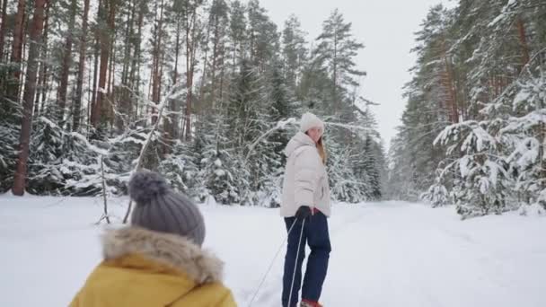 Donna allegra e il suo piccolo figlio in vecchia slitta di legno stanno camminando nella foresta in inverno — Video Stock