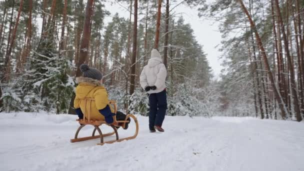 Donna sta slittando il suo piccolo figlio, passeggiando insieme nella foresta invernale, felice weekend in famiglia nella natura — Video Stock