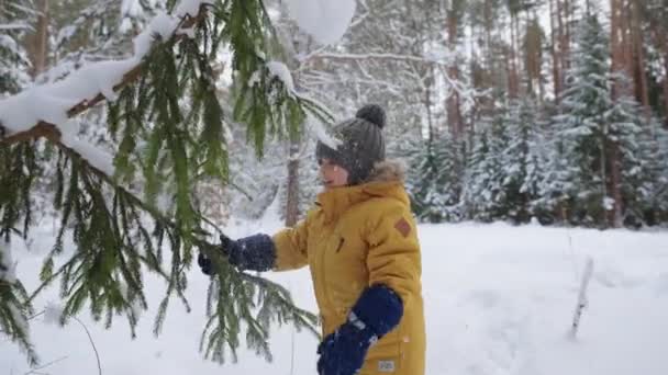 Niño feliz está jugando con abeto en el bosque en vacaciones de invierno, niño está explorando la naturaleza — Vídeo de stock