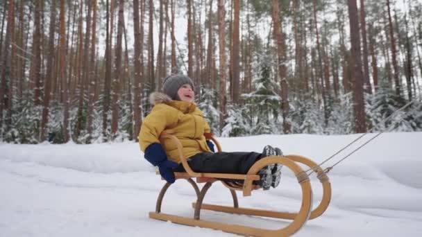 Boldog gyermek fiú ül a fa szánkó és lovaglás a hó felett téli erdőben, családi idő — Stock videók