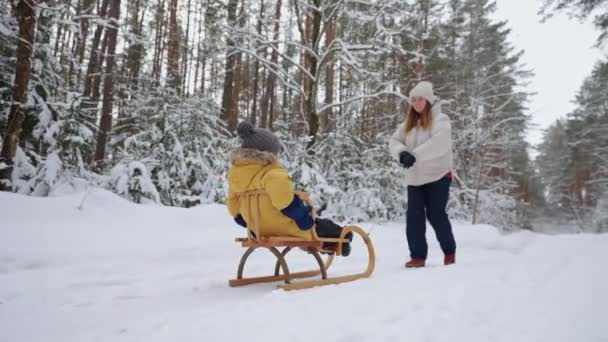 幼い母親と小さな息子が冬の森でそりに乗って雪の多いスプルースの間を歩いています — ストック動画