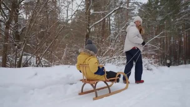 어머니와 어린 아들은 주말에 행복 한 가족 과 함께 겨울 숲에서 시간을 보내며 즐거운 시간을 보냅니다 — 비디오