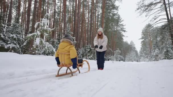 Szczęśliwa młoda kobieta idzie ze swoim małym dzieckiem w zimowym lesie, syn siedzi w drewnianych saniach — Wideo stockowe