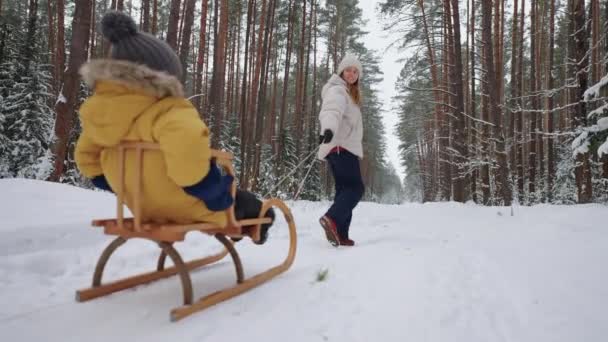 Ευτυχισμένη νεαρή γυναίκα περπατά με το μικρό της παιδί στο δάσος του χειμώνα, ο γιος κάθεται σε ξύλινο έλκηθρο — Αρχείο Βίντεο