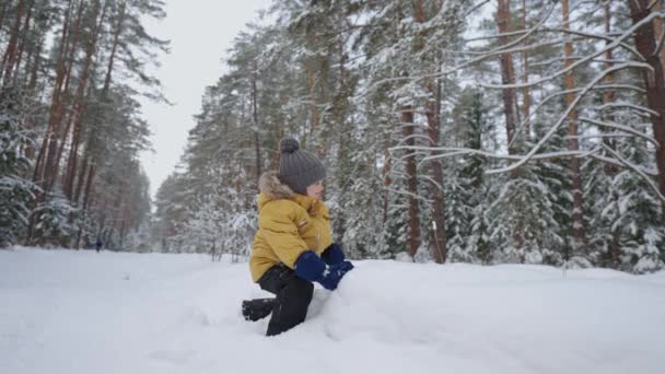 Menino bonito está brincando com neve na floresta no dia de inverno, criança feliz em jaqueta quente sorrindo — Vídeo de Stock