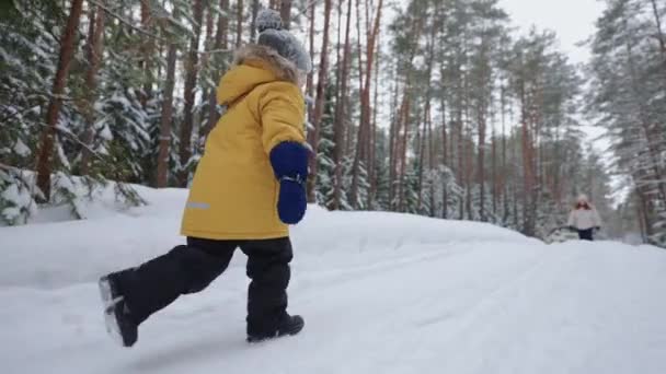 雪に覆われた冬の森の中で小さな男の子が母親に会いに走り — ストック動画